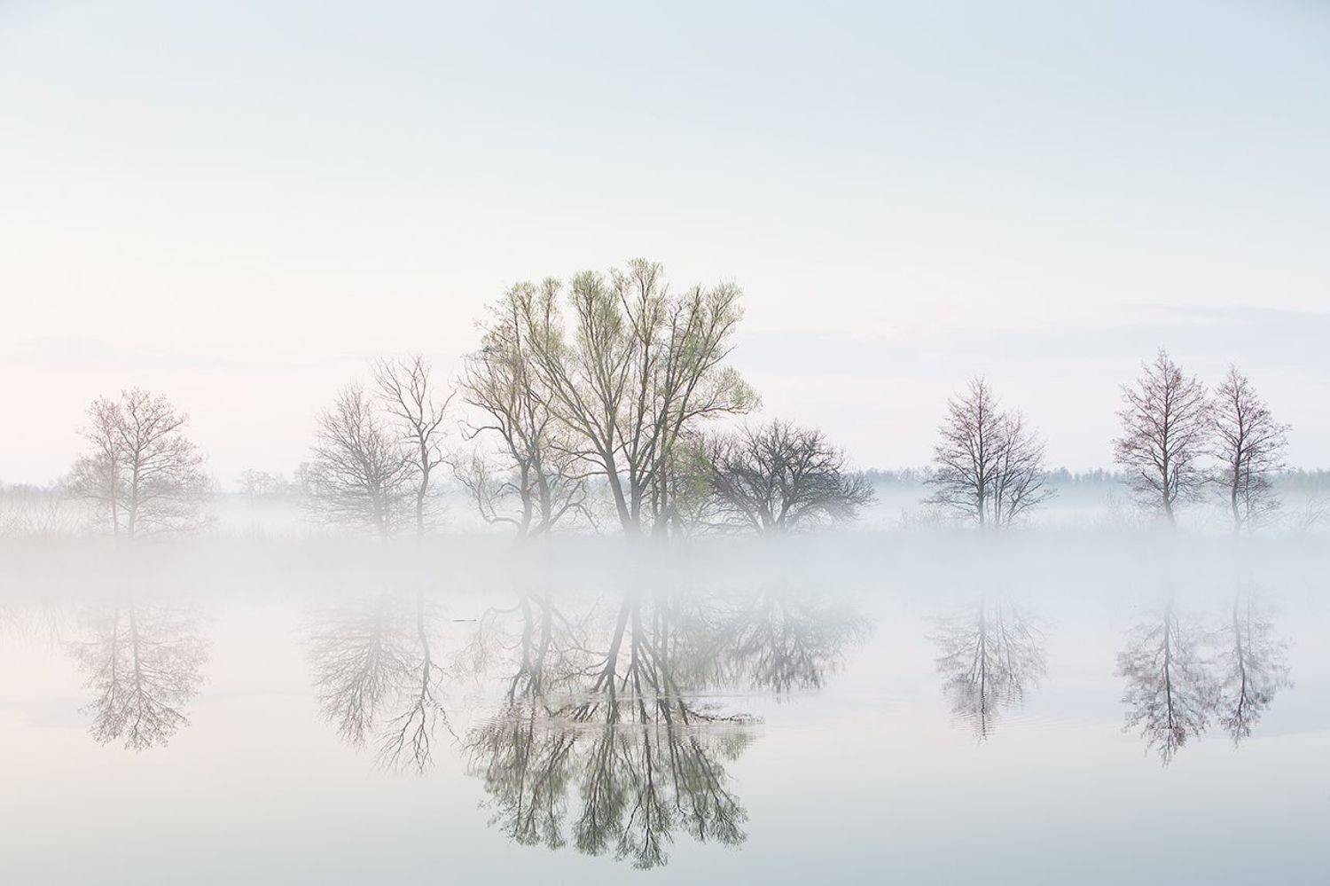 , Юрий Сорокин