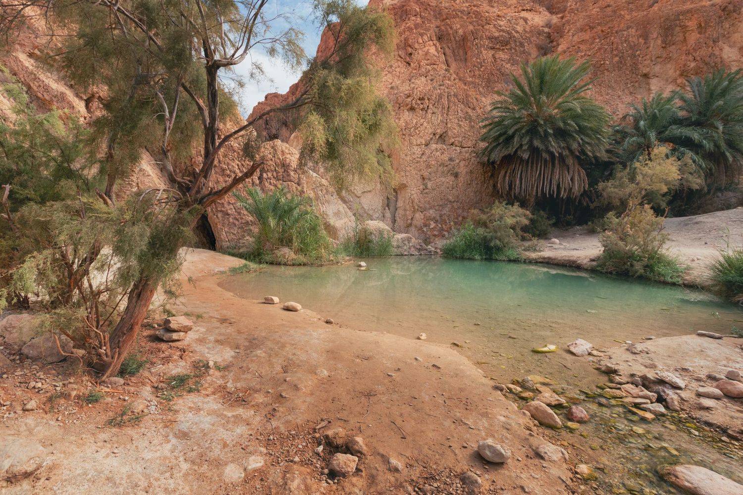 , Александър Сандев