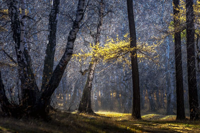 ******* фото превью