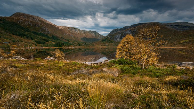 autum,fall,norway,mountains Norway фото превью