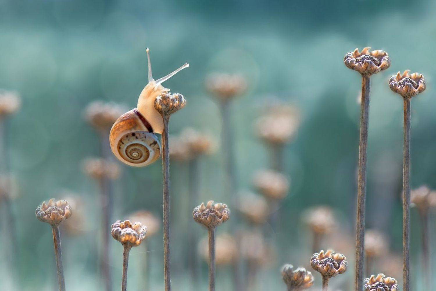 , Людмила Бекман