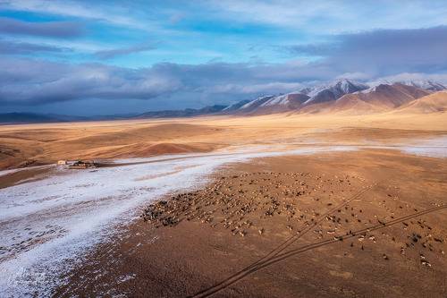 Первый снег