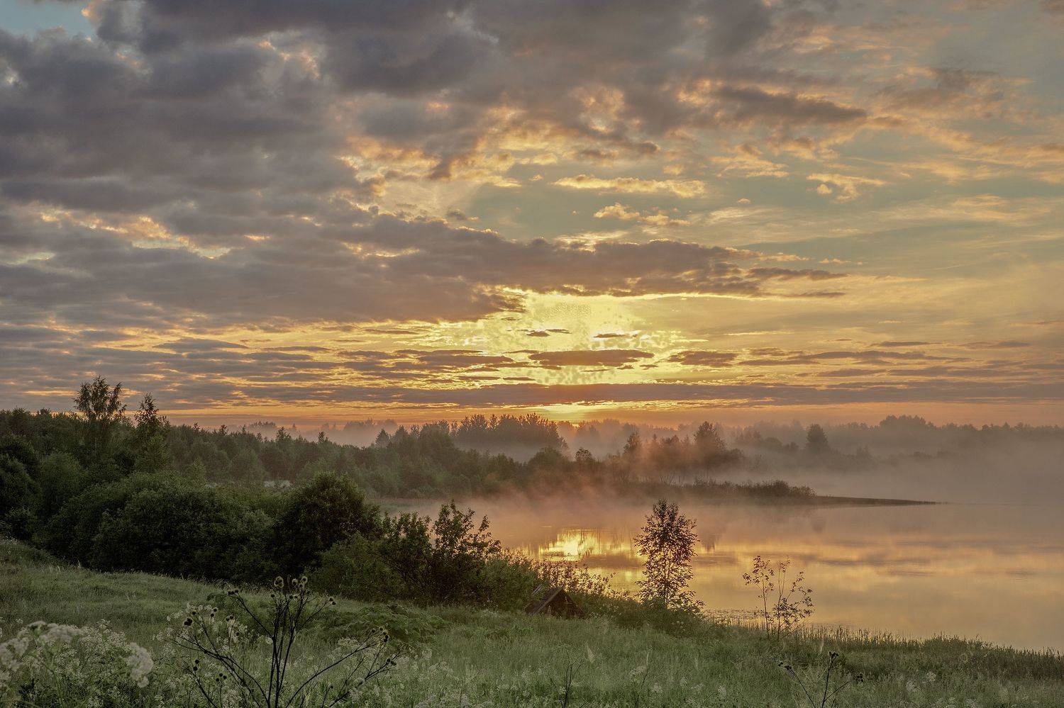 Тверская область, Елена Гусева
