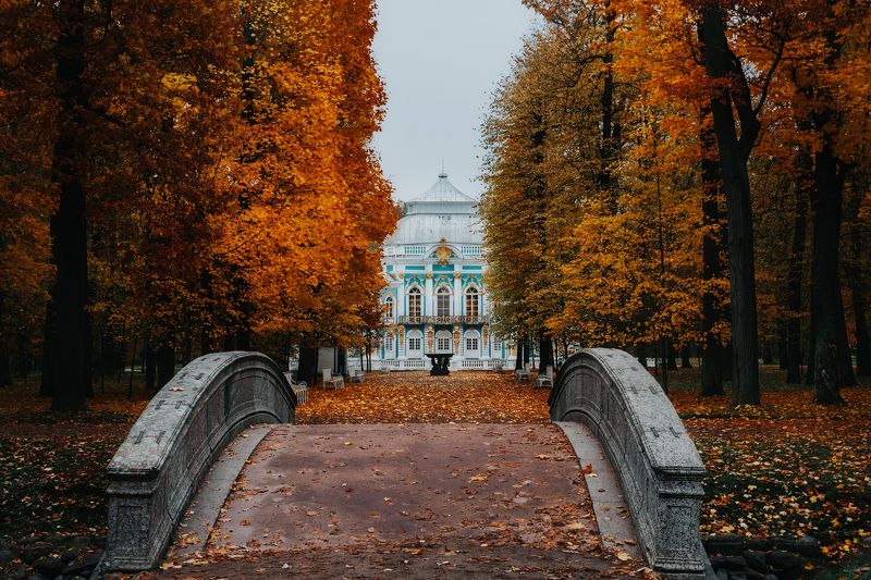 пушкин, осень, царское село Осеннее Царское село фото превью