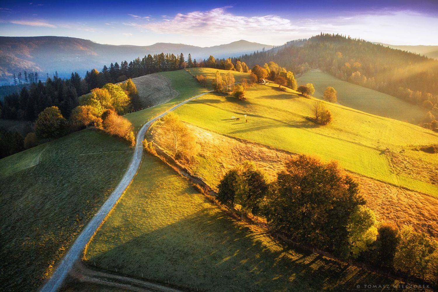 landscape, poland, light, autumn, awesome, amazing, sunrise, sunset, lovely, nature, travel, drone, trees, orange, shadows, dji, mountains, horses, Tomasz Wieczorek