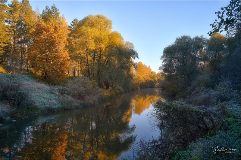 * * * фото превью