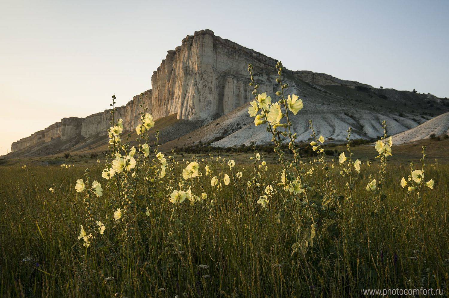 пейзаж, цветы, горы, лето, зелень, nature, landscape, rock, mountain, flowers, yellow, green, scenery, Елена Ковригина