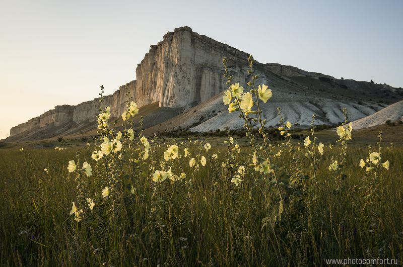пейзаж, цветы, горы, лето, зелень, nature, landscape, rock, mountain, flowers, yellow, green, scenery Белая скала - летнее цветение фото превью