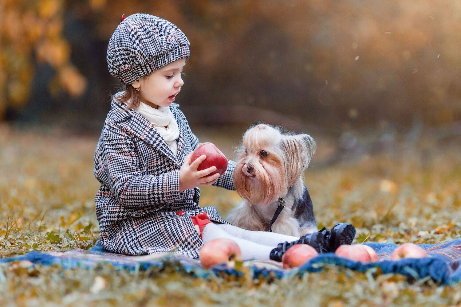 , Владимир Осауленко