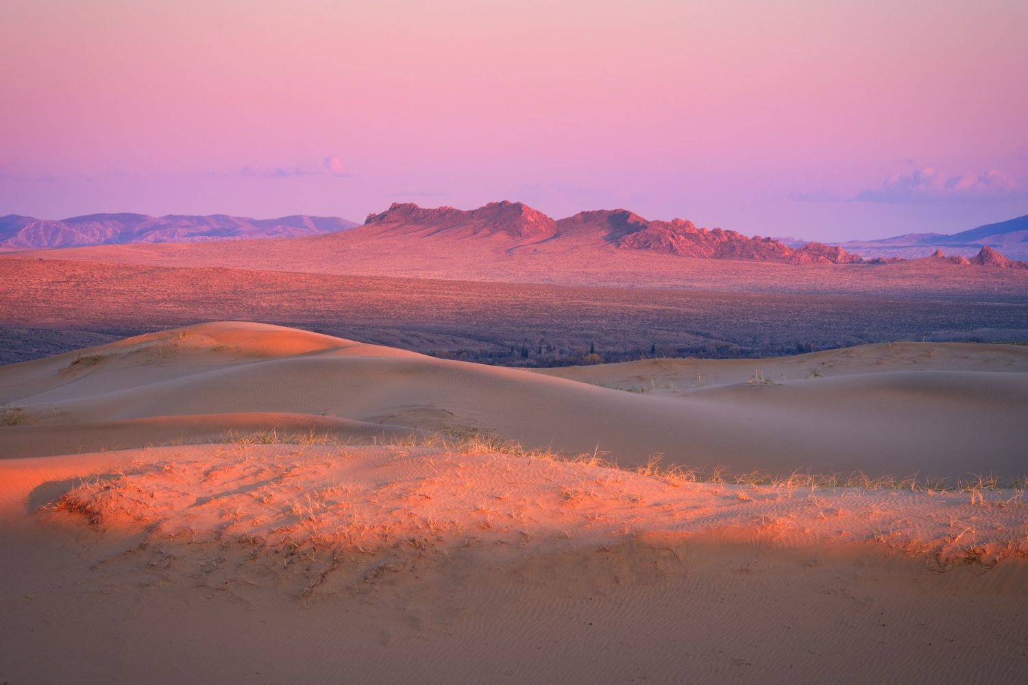 , Константин Леонтьев