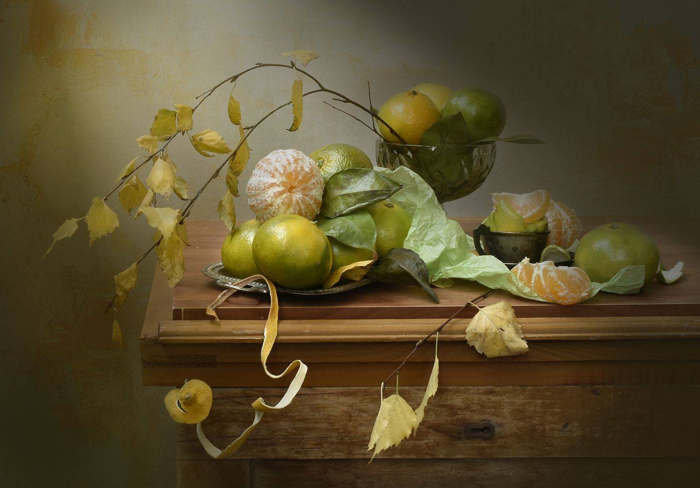 , Шипунова Ирина