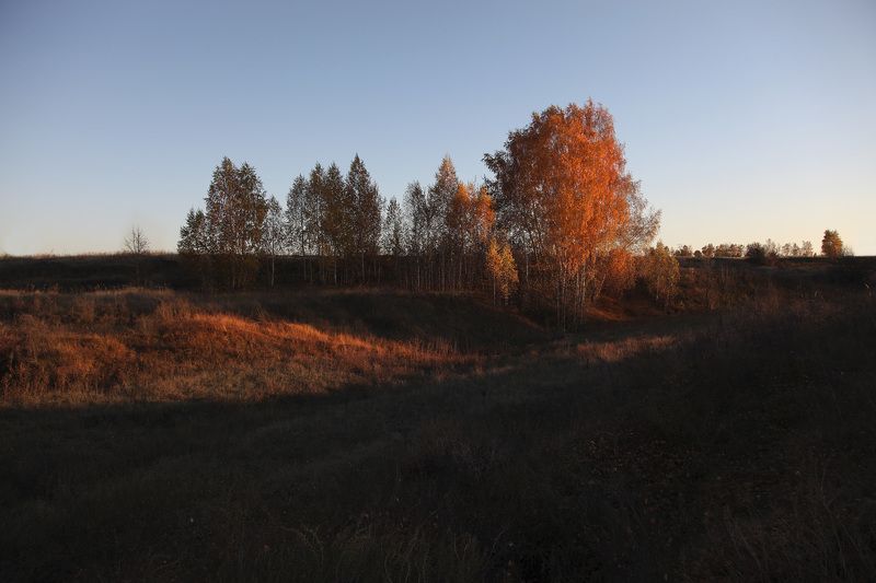 осень октябрь октябрь фото превью