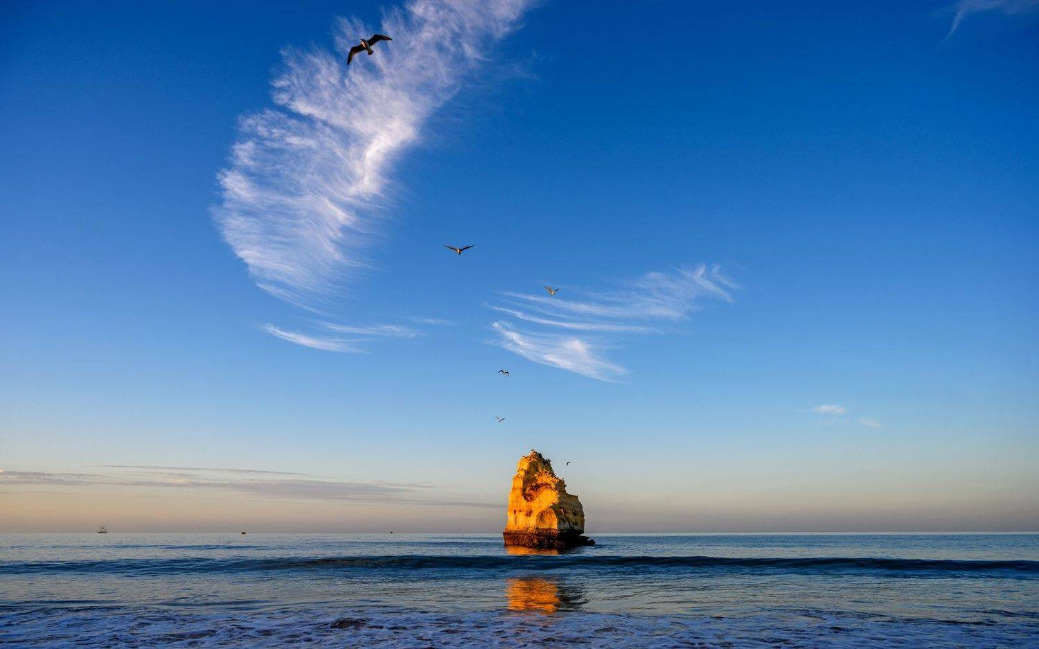 , Никитин Николай