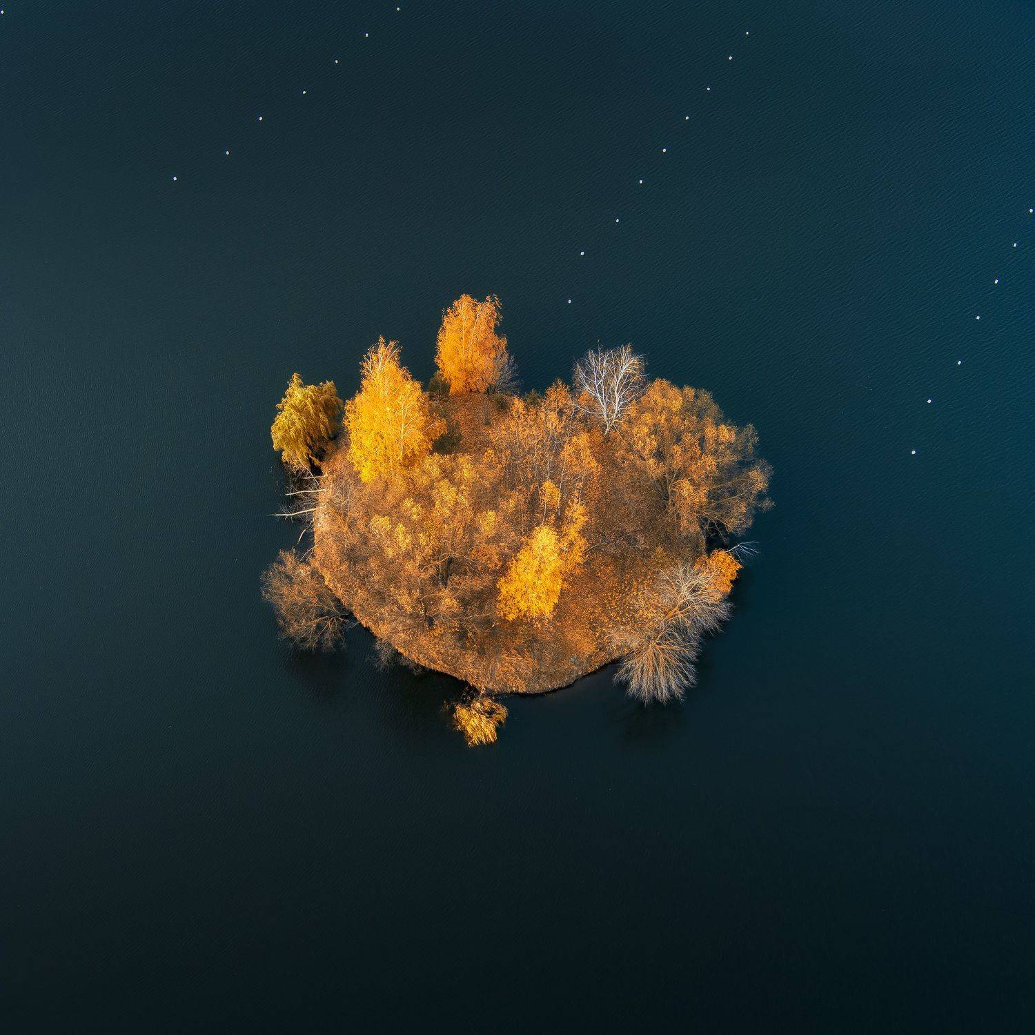 осень,остров,природа,вода,пейзаж,дрон, Павел Ныриков