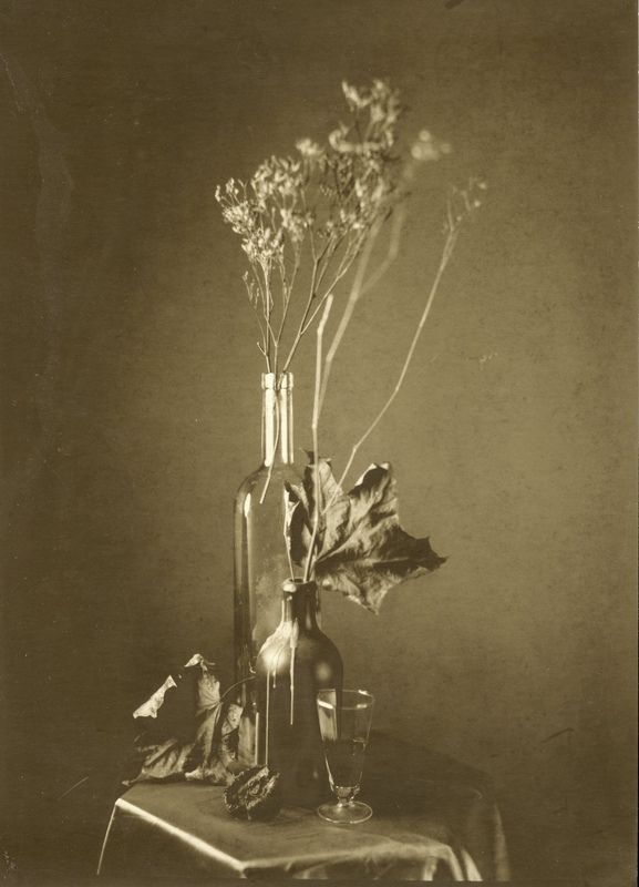 * фото превью