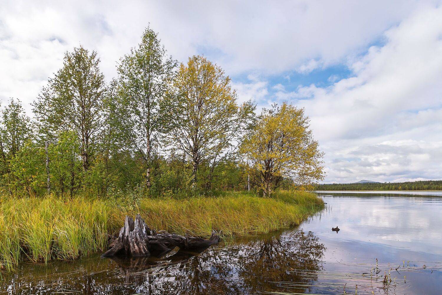 Карелия, озеро, Ярослав Лукьянов
