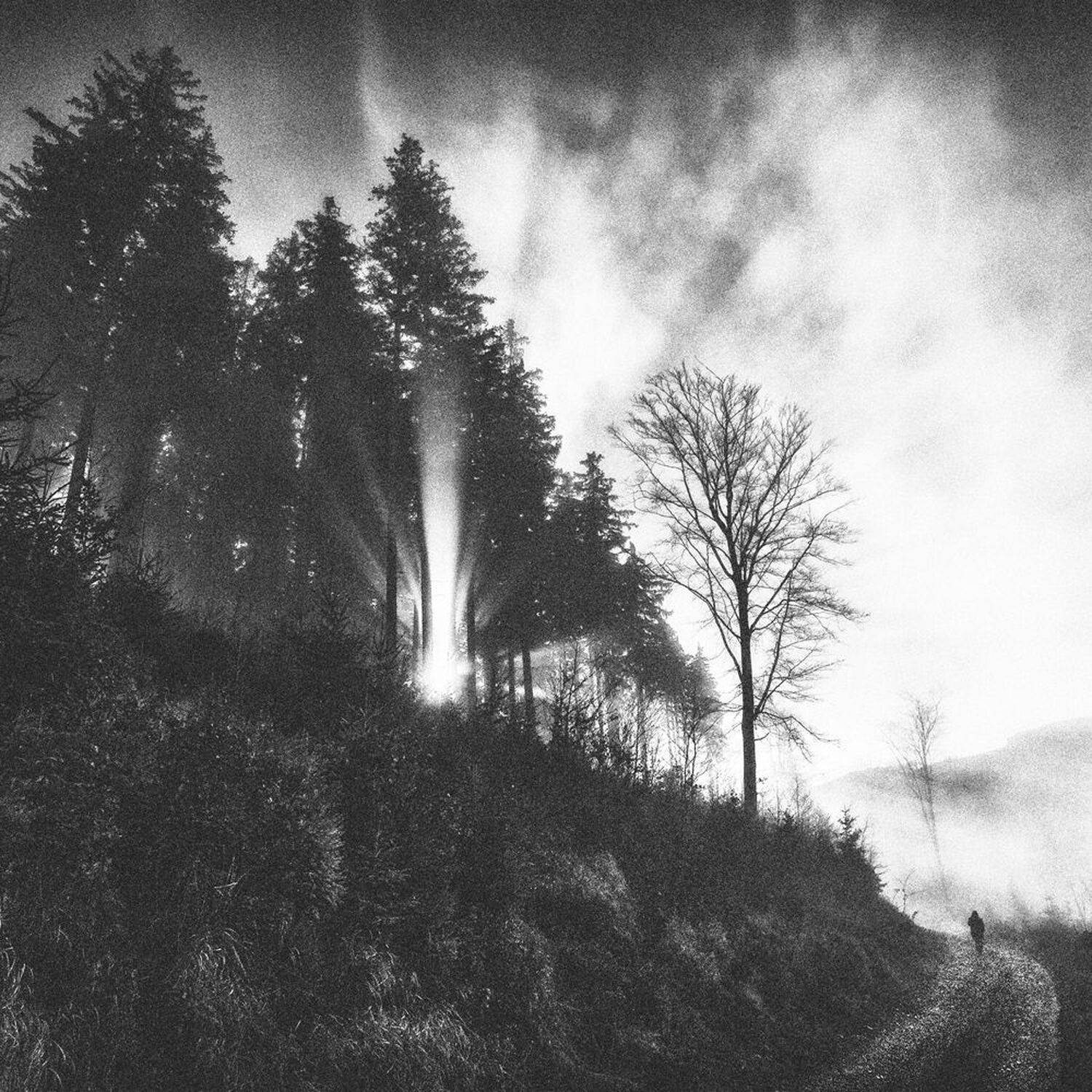 landscape,autumn,mountains,canon,black&white, Iza i Darek Mitręga