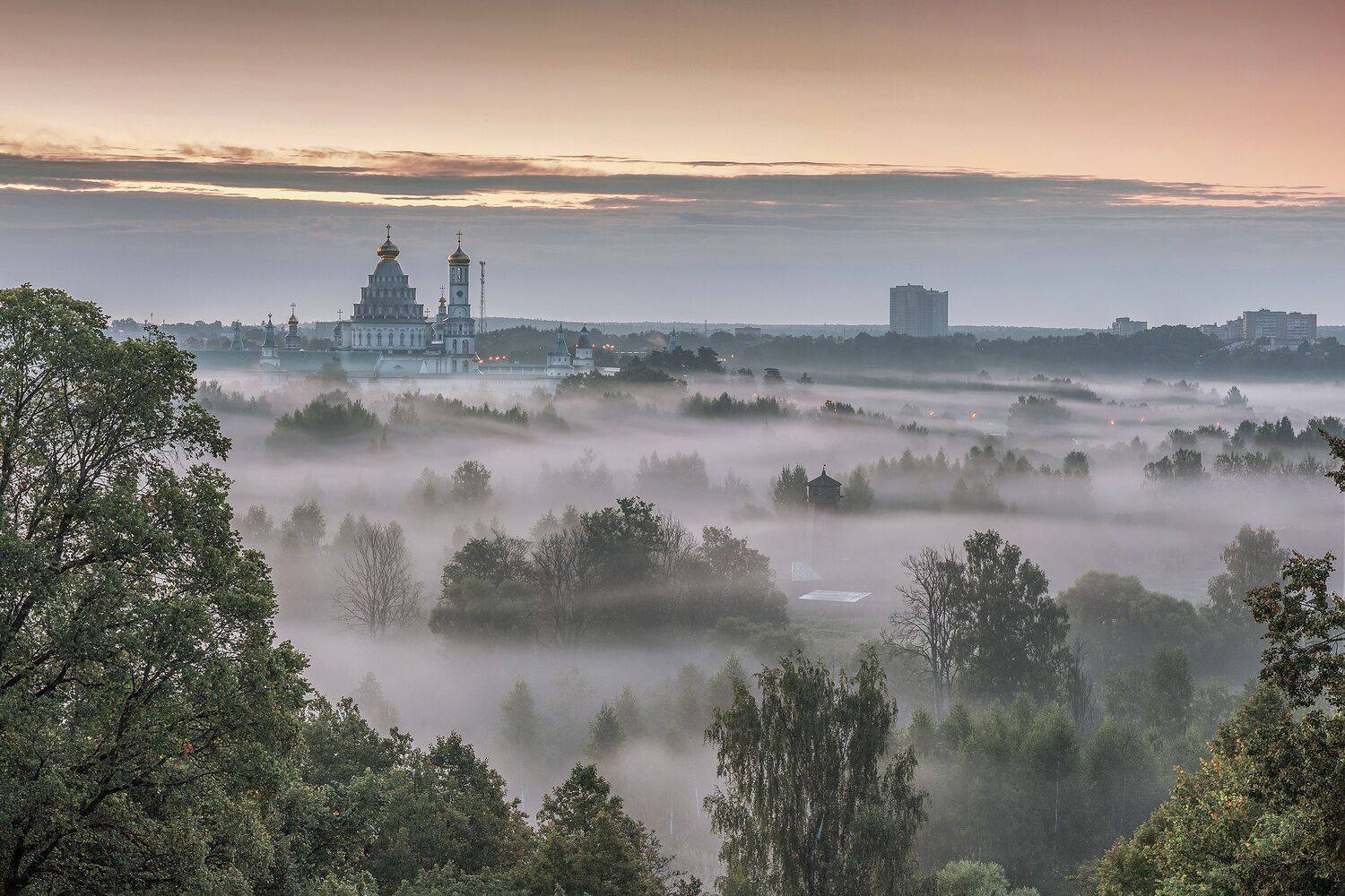 Истра, Елена Гусева