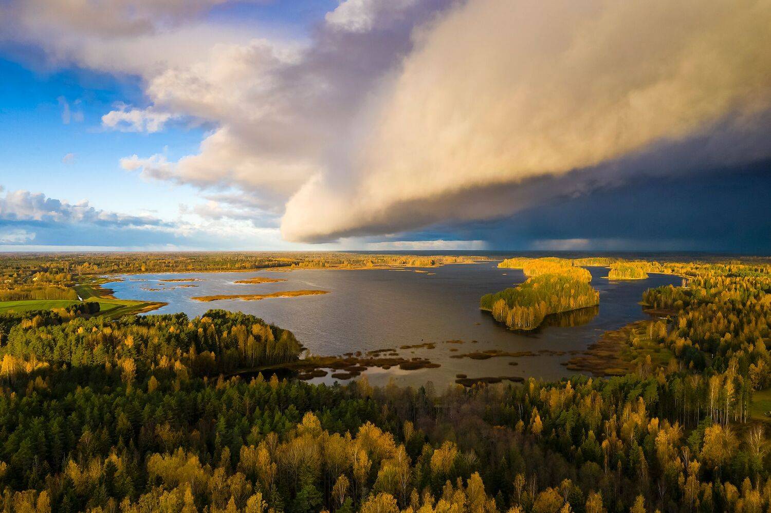 , Александр Абросимов