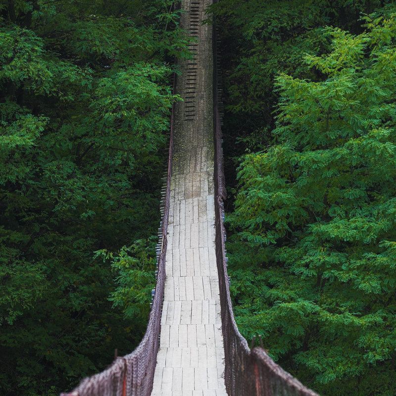 2021 фото превью