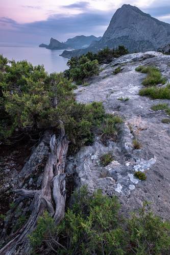 Скалы Нового Света