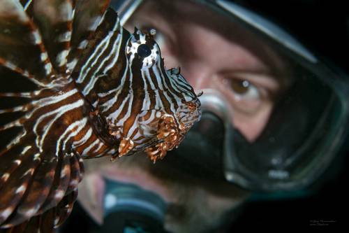 Глаза в Глаза