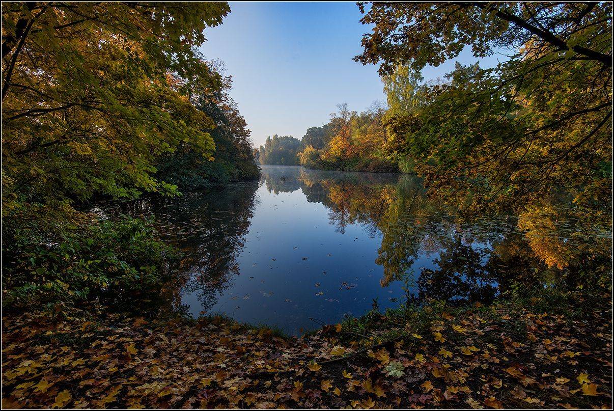 москва, осень, озеро, АНАТОЛИЙ ДОВЫДЕНКО