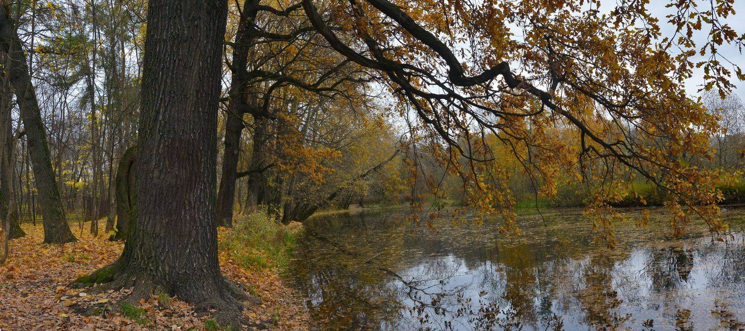покровское-стрешнево, Сергей Седов