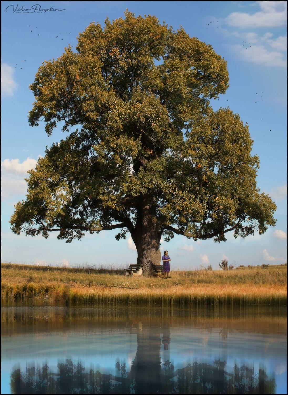 , Виктор Перякин