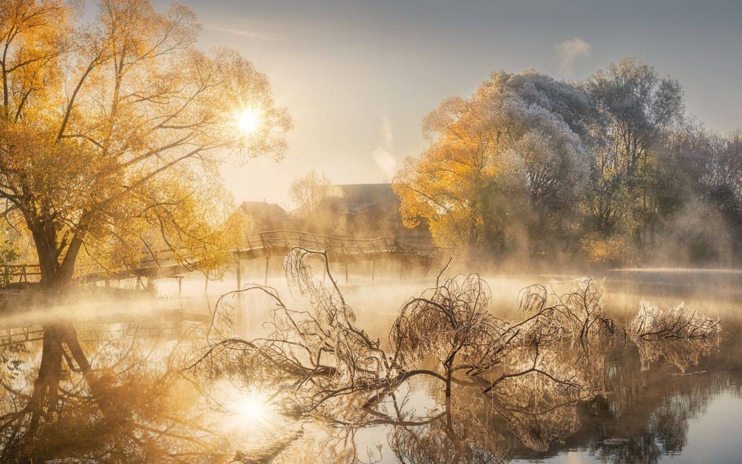 осень, туман, пруд, мост, Дмитрий Медянцев