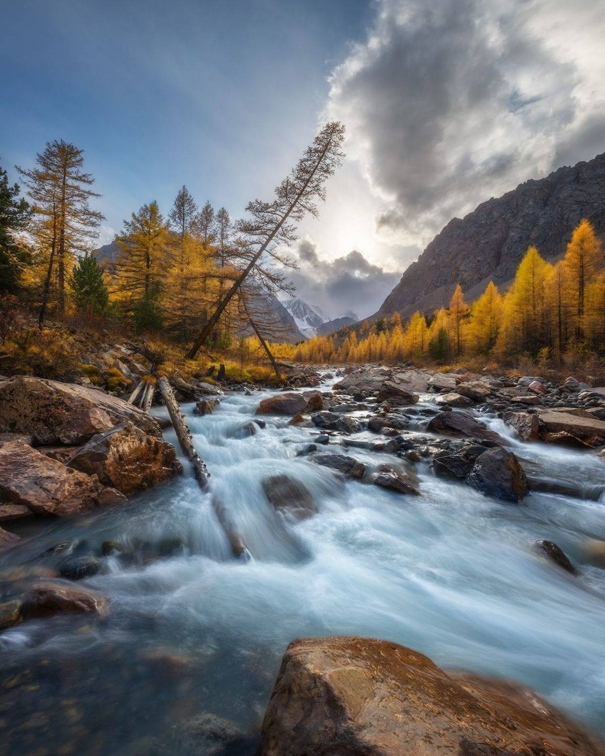 алтай, актру, осень, Алексей Марголин