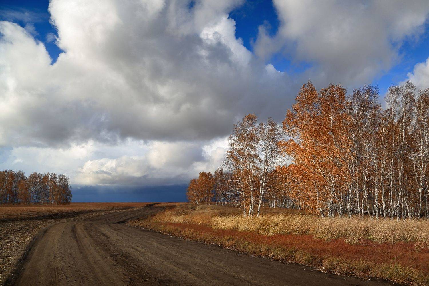 октябрь осень поле небо дорога, Евгений Зинов