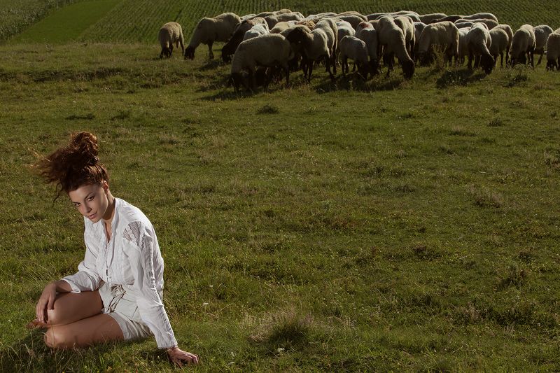 Shepherdess фото превью