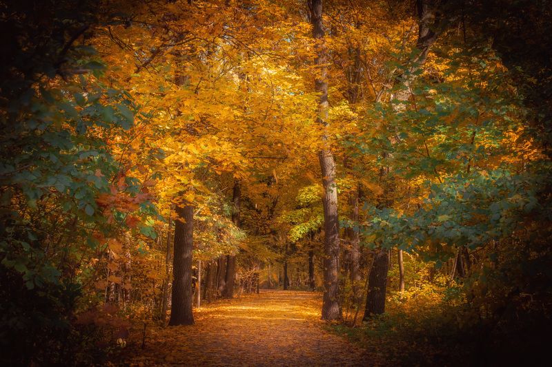 осень., вднх. Осень. Москва. ВДНХ. фото превью