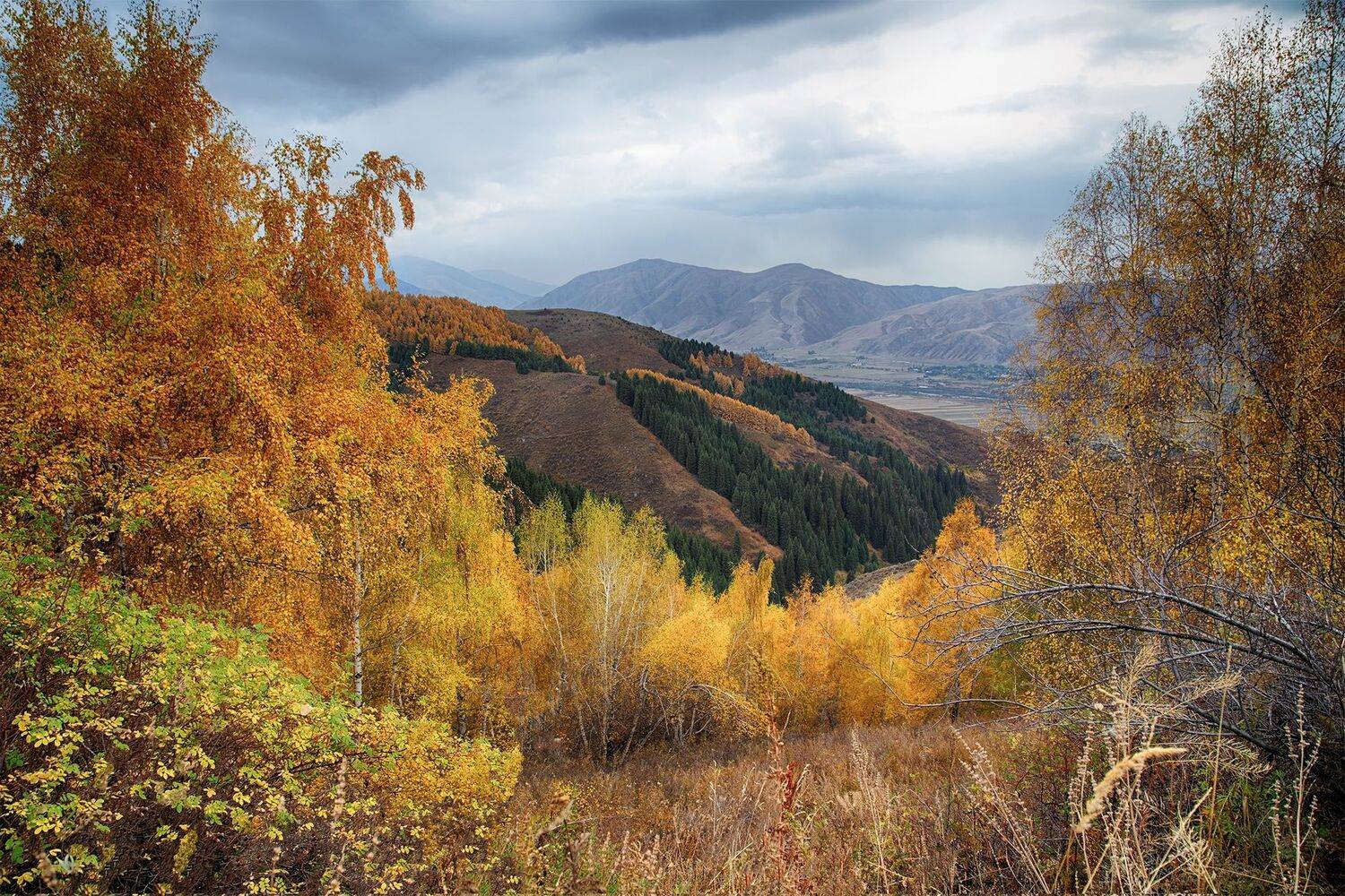 кыргызстан, горы, Элина Магалимова