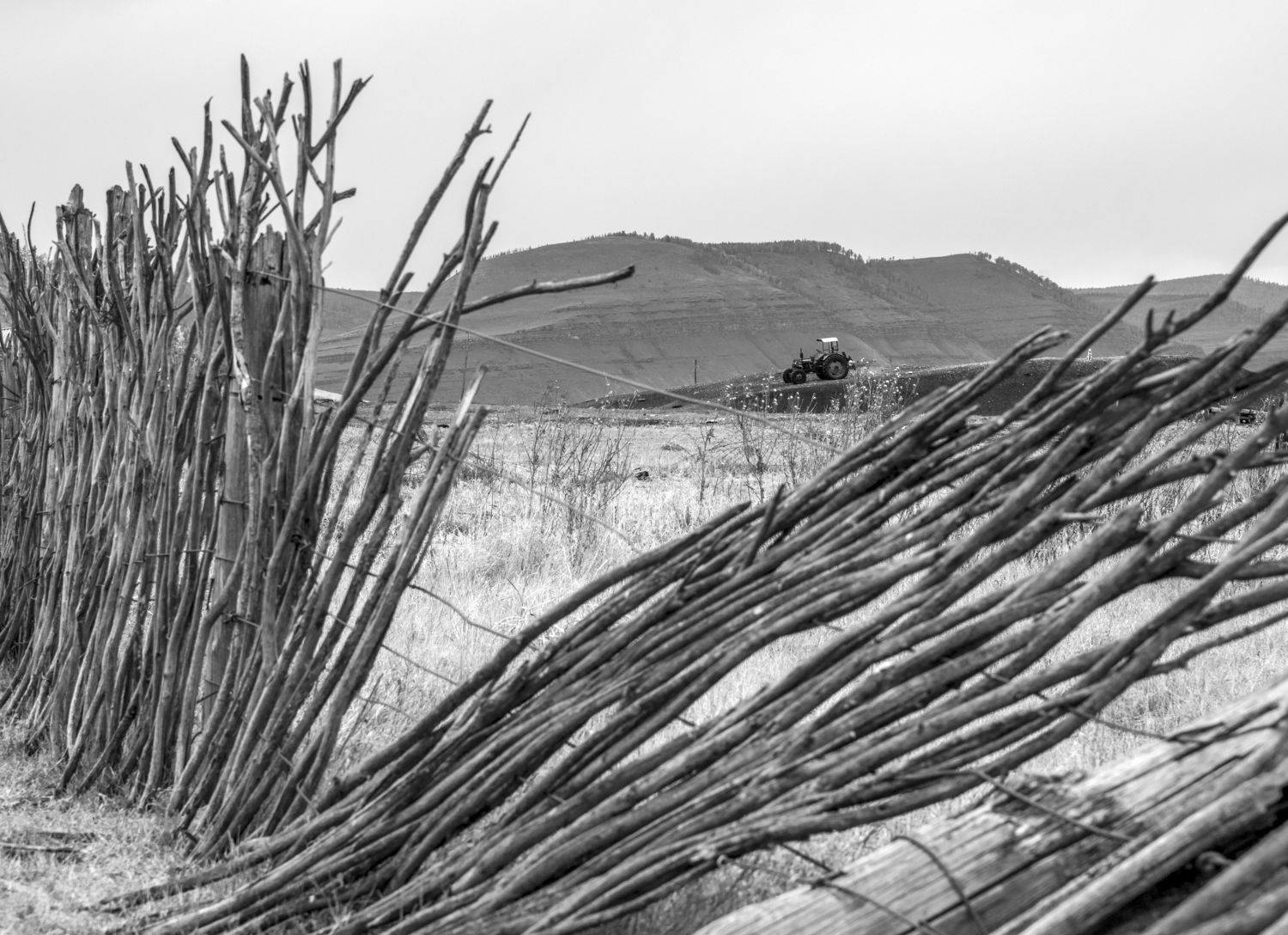 трактор, хакасия, плетень, ч/б, Андрей Хаймин