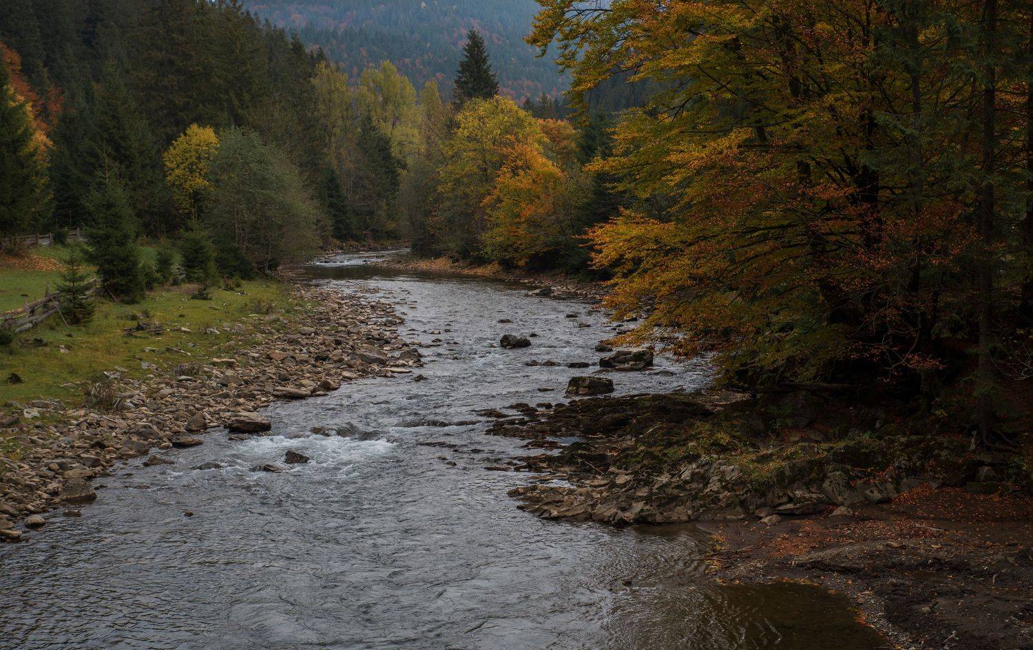 , Николай Шахманцир