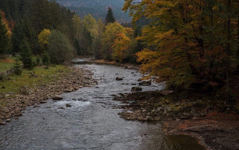 осенняя Теребля.. фото превью