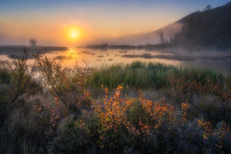 Туманное утро фото превью