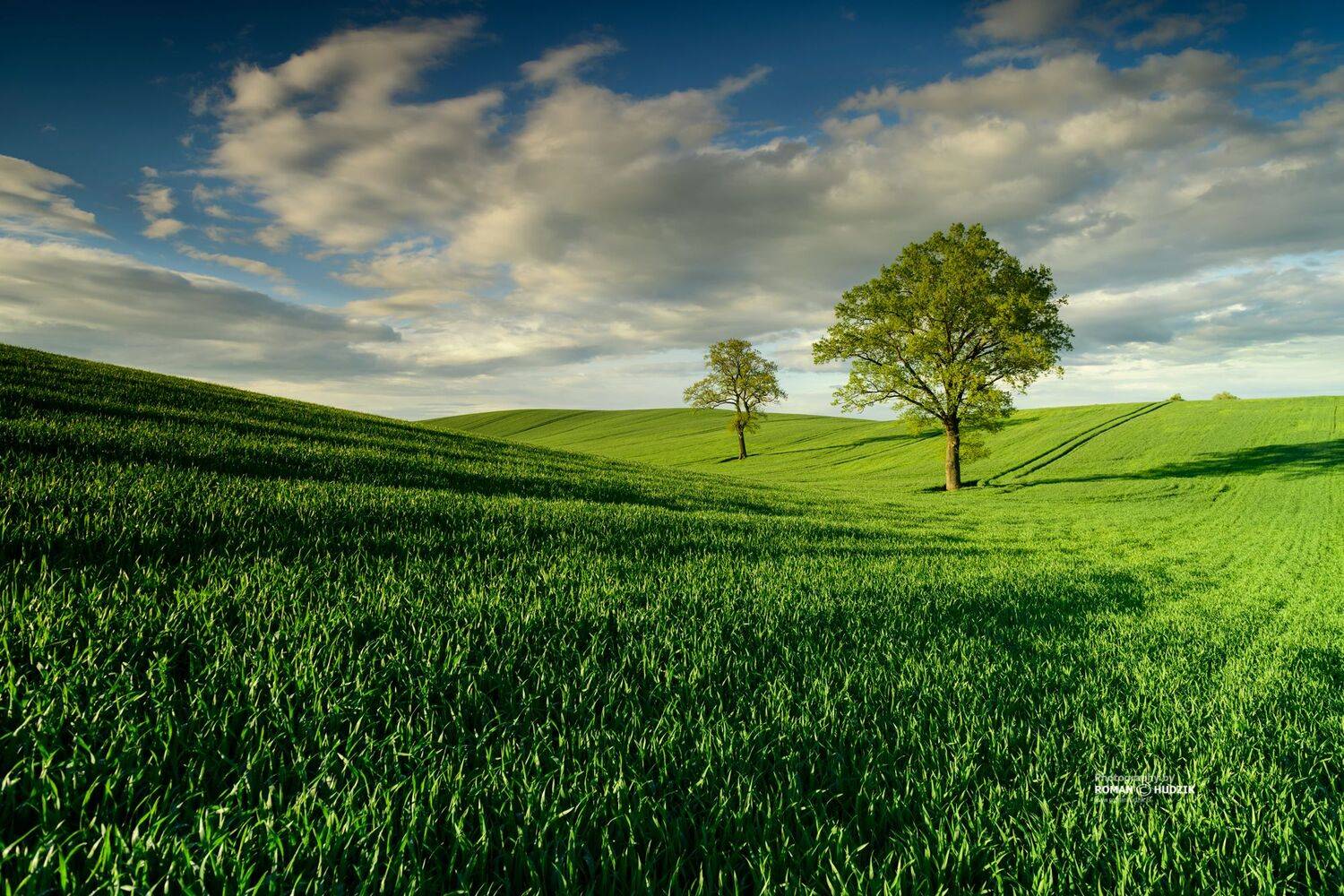 Green spring, landscape, spring, green fields, clouds, sky, Roman Hudzik