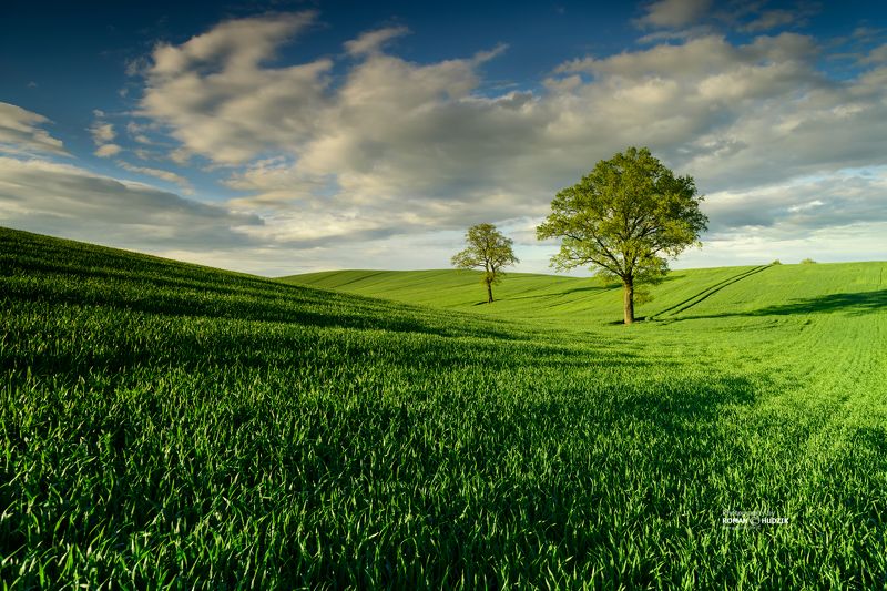 Green spring, landscape, spring, green fields, clouds, sky Green spring. фото превью