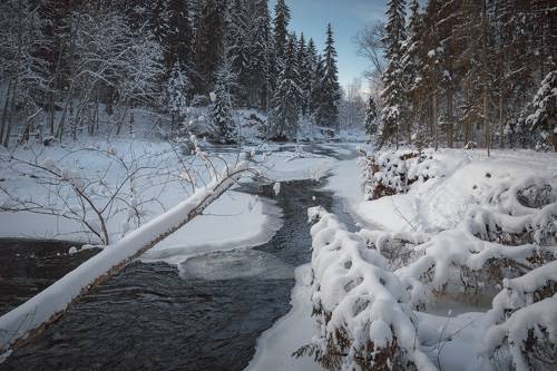 winter in river