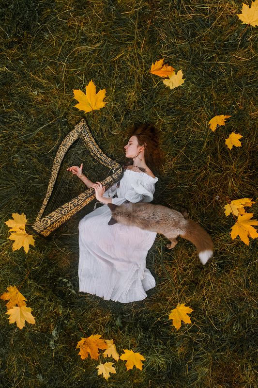 фото превью