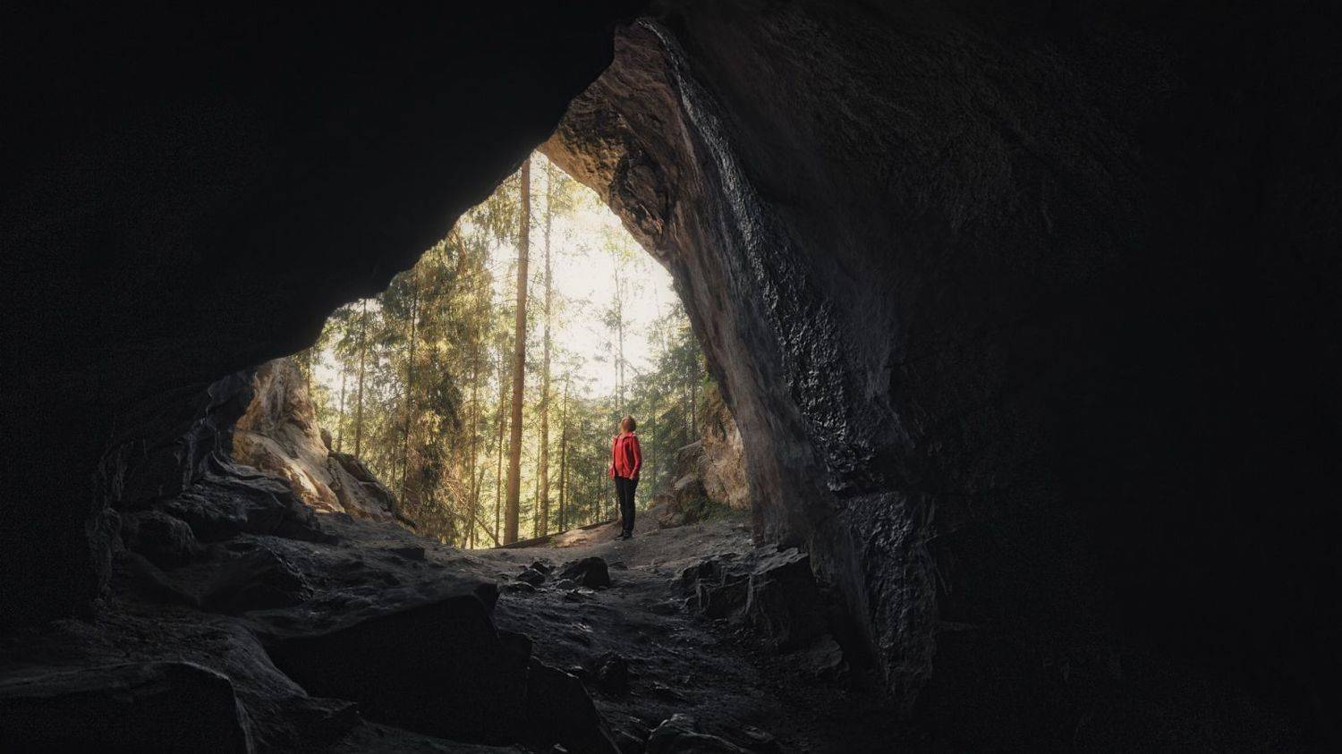 , Олег Дунаев