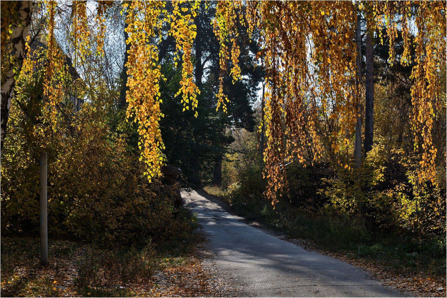 , Владимир Краснов