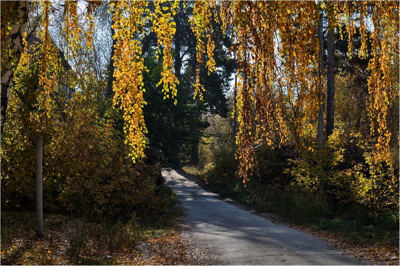 **** фото превью