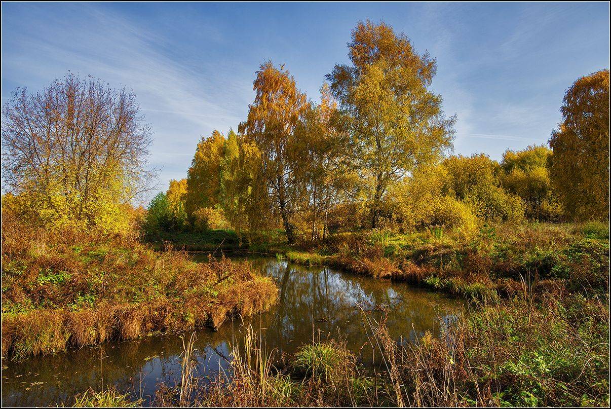 москва, октябрь, лес, река, АНАТОЛИЙ ДОВЫДЕНКО