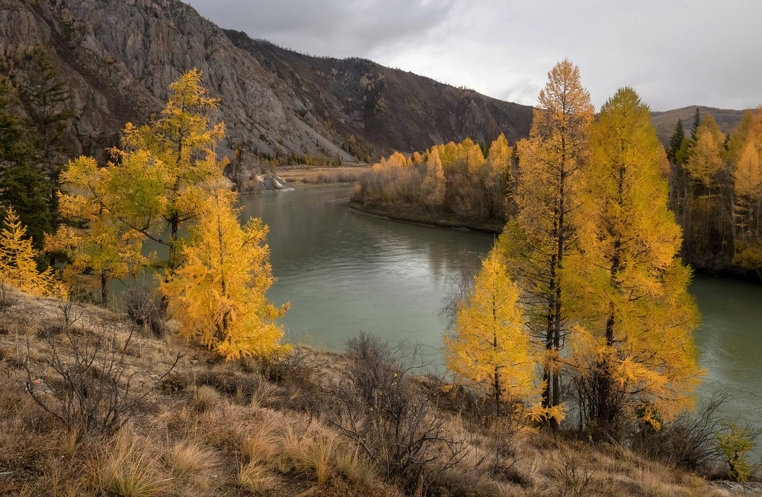 алтай, чуя, осень, пасмурно., Марина Фомина