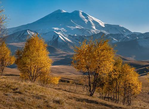 Эльбрус и золотые берёзы