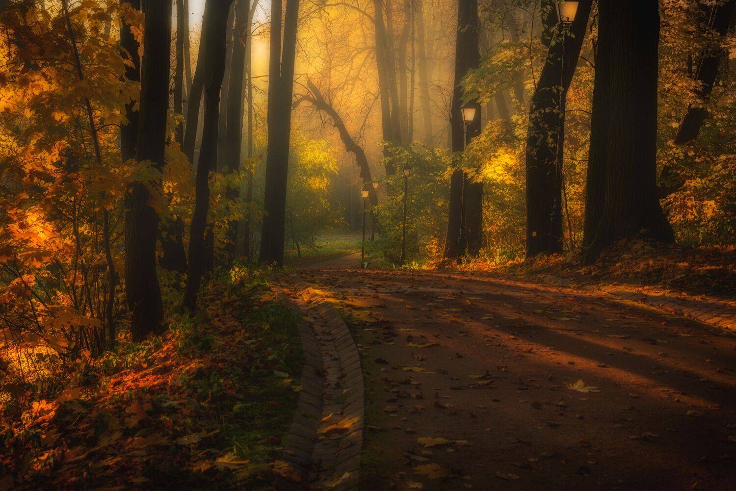 , Владимир Брагилевский